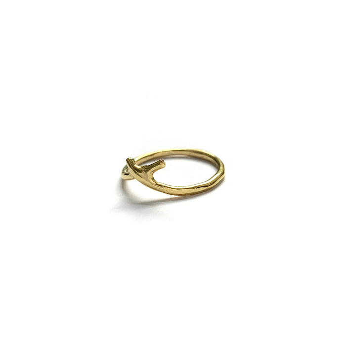 Odyssey Ring